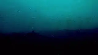 ødyzon - you're not here (𝑆𝑙𝑜𝑤𝑒𝑑 + 𝑅𝑒𝑣𝑒𝑟𝑏)