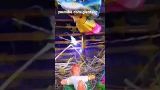 Christmas Crib Pulkoodu 2022