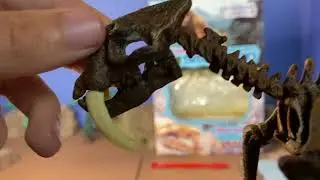 Saber Tooth Cat (Smilodon) Fossil Kit