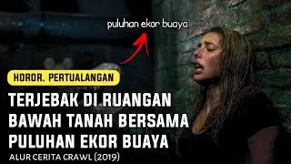 TERJEBAK DI RUANGAN BAWAH TANAH BERSAMA PULUHAN EKOR BUAYA !!! | Alur cerita flm sutar official