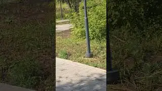 Гонщики на тачанках 😂😂🤭