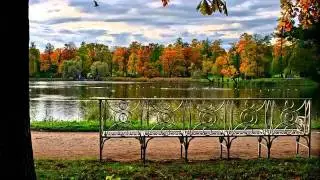 _Витас__Звезда_ GLG 2011