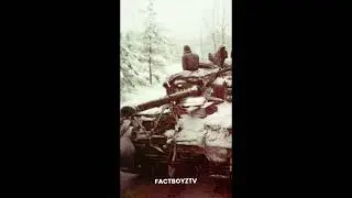 Invasion Barbarossa and Battle of The Bulge