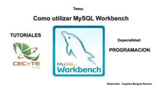 Tutorial como usar Workbench, crear diagramas, tablas, relaciones y manipular registros