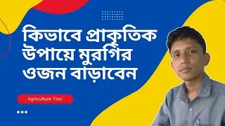 কিভাবে প্রাকৃতিক উপায়ে মুরগির ওজন বাড়াবেন | Agriculture Tour