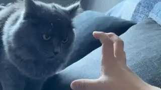 Боня против Миланы 😂