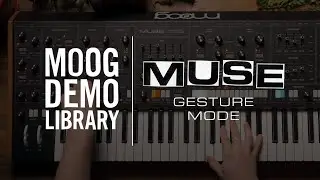 Muse | Gesture Mode