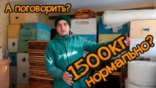 ✅ ➤[1500 кг мёда в зиму] | ➤[2 матки в 1 улье] | ➤[Сами виноваты!]