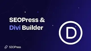 Use the universal SEO metabox by SEOPress with Divi