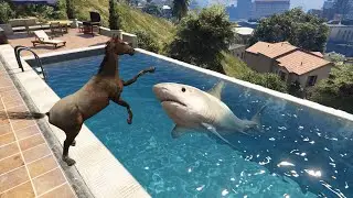 منافسة قوية بين الحصان وسمك القرش قراند 5 GTA V HORSE VS SHARK