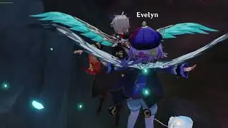 chasm pain and coop | Genshin Impact