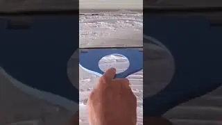 медведь рыгает 