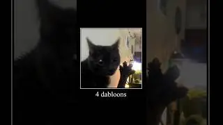 DABLOONS | C'est Quoi ce Mème? 