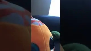 No more paint.(a video from ds&melee)