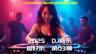 一小时老歌带DJ精华独白版抖音极品串烧，2025车载热门DJ舞曲