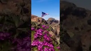 Happy 4th of July