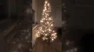 ItIs Christmas and we got a Christmas tree happy holidays￼