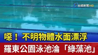 噁！ 不明物體水面漂浮 羅東公園泳池淪「綠藻池」