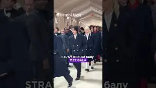 Stray Kids at the Met Gala 