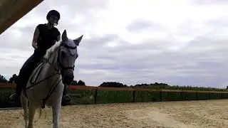 [FMA] Reitupdate❤ was hat sich verändert
