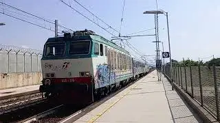IL TIGRE NEL NCL JONICO!!!