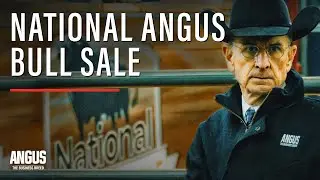 NATIONAL ANGUS BULL SALE 2022 | Cattlemen's Congress - Oklahoma City - January 7, 2022
