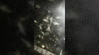 Жизнь в Астрахани на берегу реи