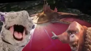 Skar King and Shimo vs a Parrot Frog