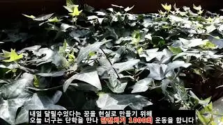 #단학