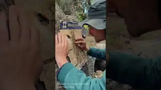 Раскопки / Заброшенный отель 3