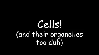 Cells