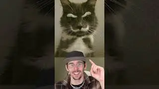 5 viral photos that are actually fake 🤯