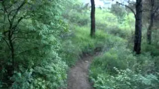 Toka Zanga Da Beqa Downhill