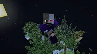 Batman Armour in Skyblock