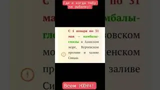 Нерестовые запреты на рыбалку. 2023 год. Азовское море - лиманы и заливы! Ейск