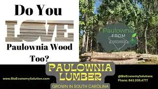 Paulownia Wood Lumber Grown In South Carolina