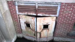 golfish in abandoned building