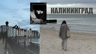 калининград | танцующий лес, куршская коса, город кошек и балтийское море