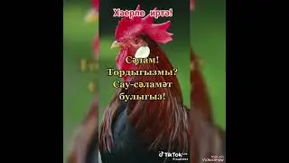Тормыш ул бер могҗиза