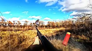 ОХОТА НА ВАЛЬДШНЕПА!НА ТАКОЙ ОХОТЕ Я ЕЩЕ НЕ БЫЛ !