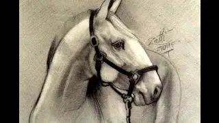COMO DESENHAR UM CAVALO