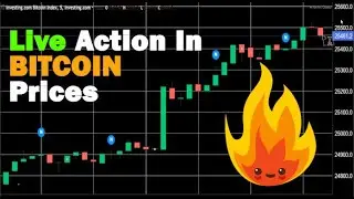 Live Action In Bitcoin Prices