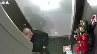 Package Thief 😭