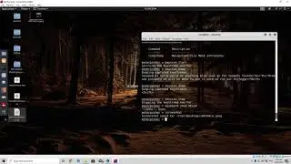 49  Meterpreter Commands Part 2
