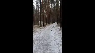 сфера влог/kristy.pie.