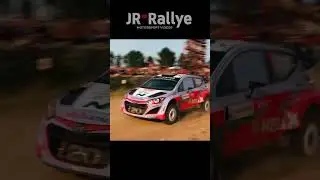Best of Rally Jumps. Which is the most spectacular? 