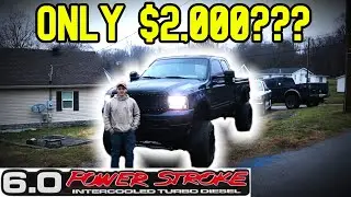 HE ONLY PAID $2,000...