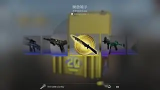 CS20 case KNIFE unboxing!! ( Classic Knife - Blue Steel FT )
