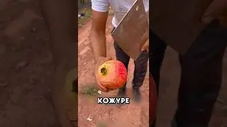 Как идеально почистить гранат 