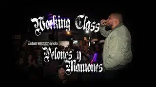 Pelones y Mamones by Working Class
